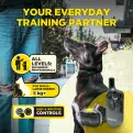 Dogtra 600 iQ - Dispatch time is 7 days