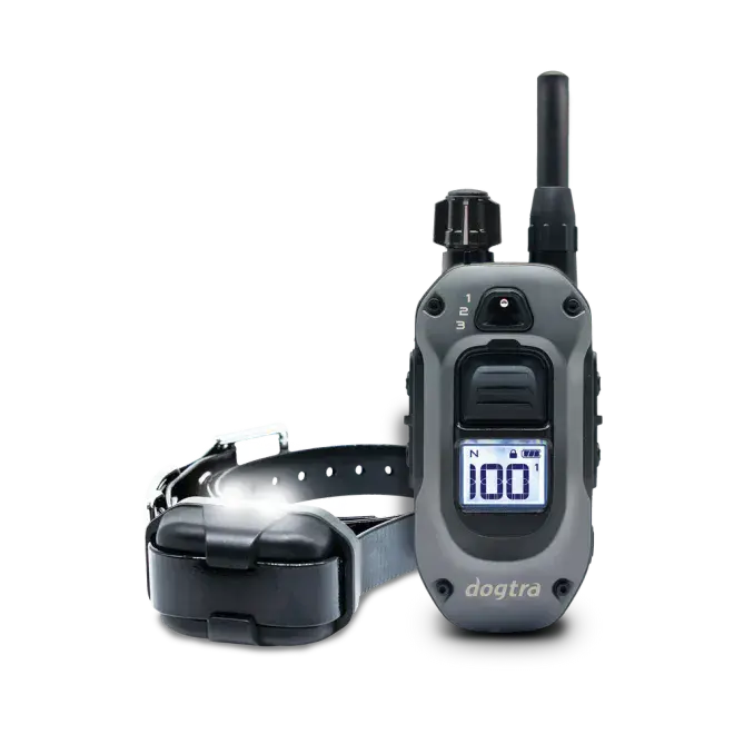 Dogtra 640 X - Dispatch time is 7 days