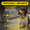Dogtra Smart Anti Bark - 7 day dispatch