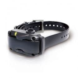 Dogtra YS600 - Dispatch time is 7 days