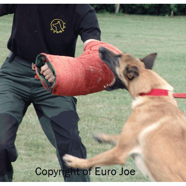 Euro Joe - Arm Sleeves
