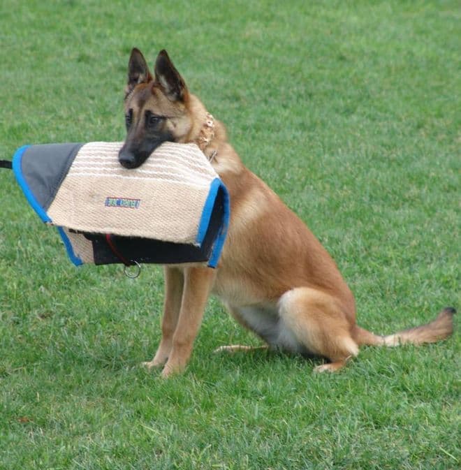 Euro Joe - Bite Sleeve - GRIPPER - JUTE