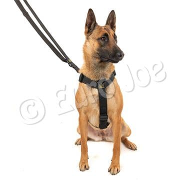 Euro Joe - Iron Power Police Leash