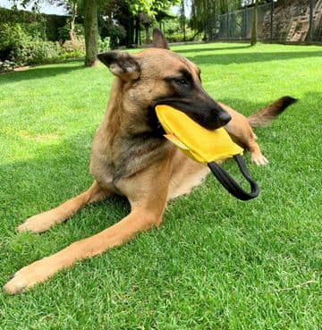 Euro Joe - Just Play