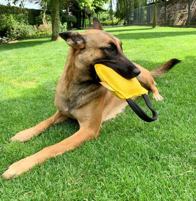 Euro Joe - Just Play