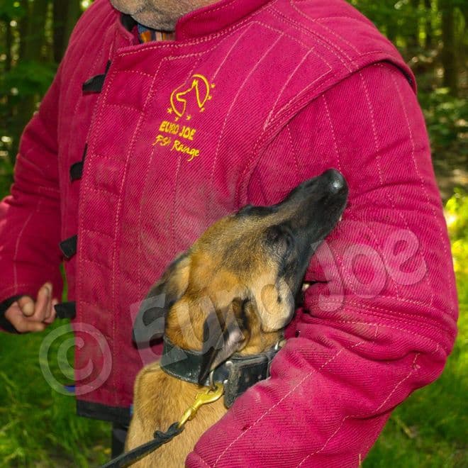 Euro Joe - Move It - PSA Sleeve