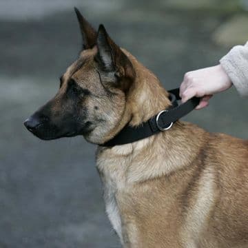 Euro Joe - Nylon Agitation Collar With Handle