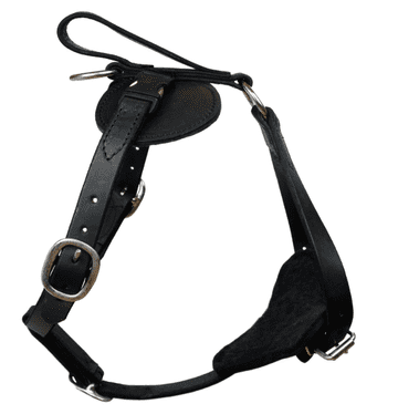 Leather  Padded Agitation Harness