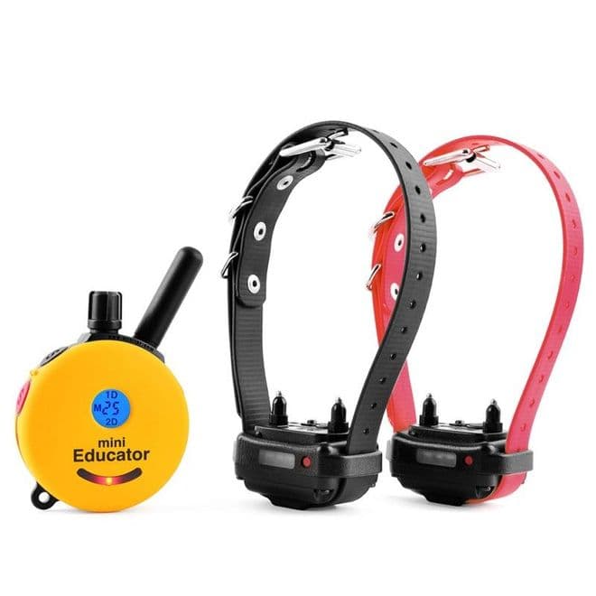 Mini Educator 2 dog - ET302