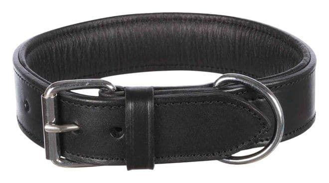 Padded Leather Collar  1.5 inch wide