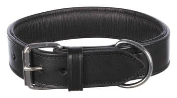 Padded Leather Collar 1.5 inch wide