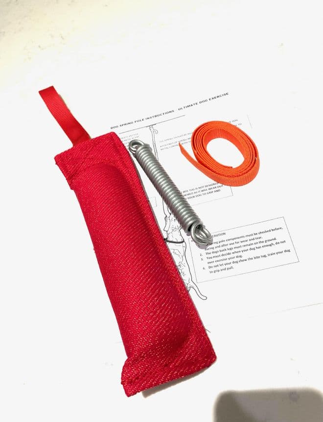 Heavy Duty Spring Pole Spring | for dogs upto 110lbs | K9 Equipment UK