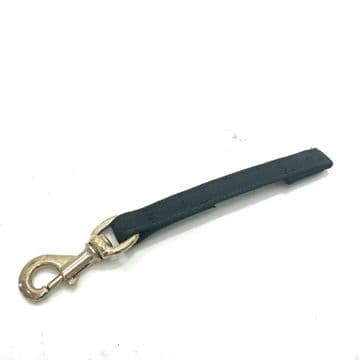 TAB leash - Rubberised webbing 20mm KONG Clip