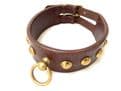 The Traditional Collar Co. - TURCO - 21/23