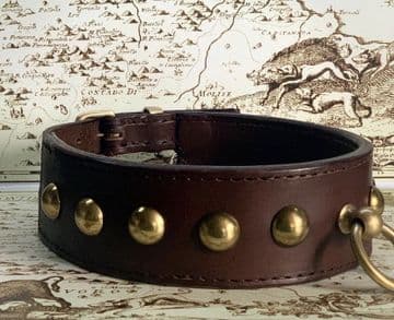The Traditional Collar Co. - TURCO - 21/23