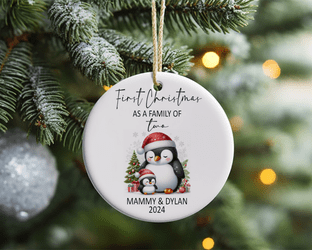 1st Christmas as Family of 2 Acrylic Christmas Ornament