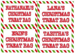 4 Large Personalised Stripe Christmas Treat Bag Stickers