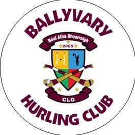 Custom Sticker - 30mm Ballyvary Hurling