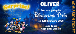 Disneyland Paris Surprise Holiday Ticket Night Sky Castle