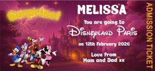 Disneyland Paris Surprise Holiday Ticket Pink Sky Castle