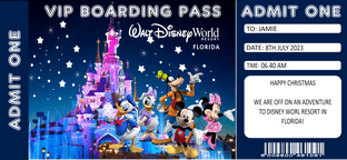 Disneyland Resort Florida Surprise Holiday Ticket