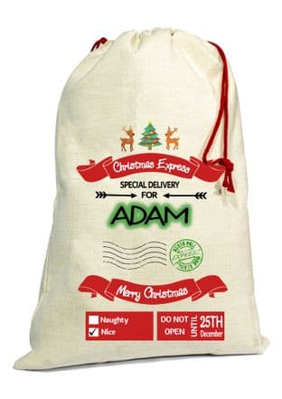 Express Delivery Christmas Santa Gift Sack