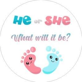 Gender Reveal Baby Feet Sticker
