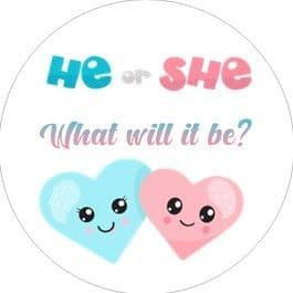 Gender Reveal Boy Girl hearts Sticker