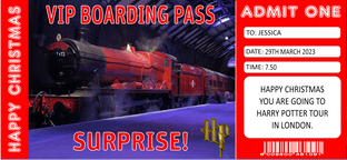 Harry Potter Tour Surprise Ticket
