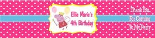 Peppa Pig Bottle Label Wrapper 2
