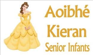 Personalised Belle School Book Stickers