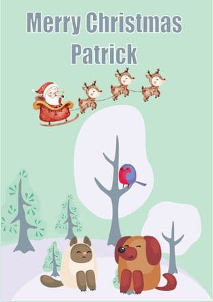 Personalised Cat Dog Bird Christmas Card