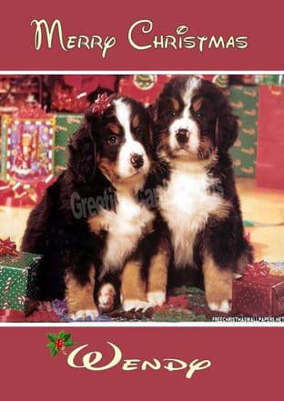 Personalised Corgi Puppy Christmas Card