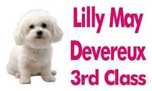 Personalised Cute Puppy School Book Stickers