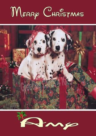 Personalised Dalmatian Puppies Christmas Card