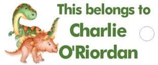 Personalised Dinosaur Keyring School Bag Name Tag 1