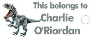 Personalised Dinosaur Keyring School Bag Name Tag 2