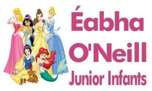 Personalised Disney Princess School Book Stickers