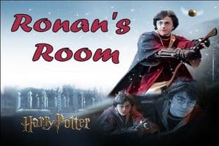 Personalised Harry Potter Door Plaque Design 1