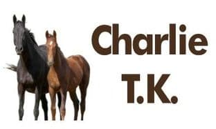 Personalised Horses Book Stickers