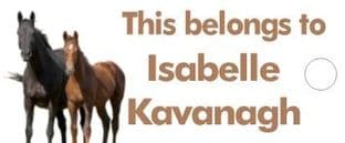 Personalised Horses Keyring School Bag Name Tag