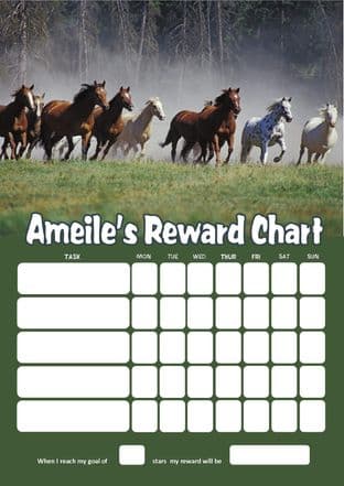Personalised Horses Reward Chart (adding photo option available)