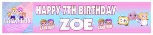 Personalised LankyBox Banner