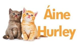 Personalised Rectangle Kitten School Book Stickers