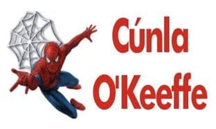 Personalised Rectangle Spider-man School Book Stickers