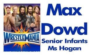 Personalised Rectangle WWE Wrestlemania Wrestlers School Book Stickers