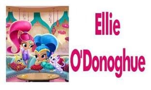 Personalised Shimmer and Shine School Book Stickers