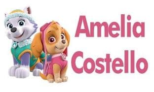 Personalised Skye & Everest School Book Stickers