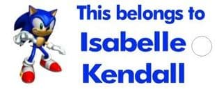 Personalised Sonic the Hedgehog Keyring School Bag Name Tag