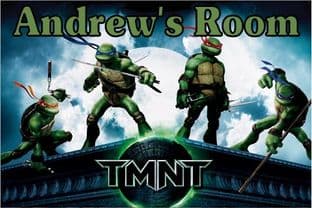 Personalised Teenage Mutant Ninja Turtles Door Plaque